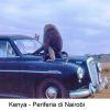 14-Nairobi-Parco in periferia-a7931f2c3d7d9bdba6ea4bc57ee1ed27